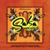 Salsa World Series Volume 2 artwork
