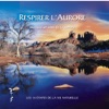 Philippe Bestion - Sur Toit Du Monde
