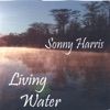 Living  Water, 2006