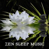 Zen Sleep Music artwork
