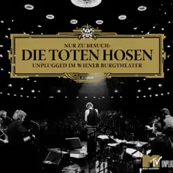 Nur zu Besuch: Die Toten Hosen unplugged im Wiener Burgtheater - Die Toten Hosen