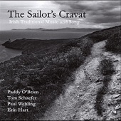 Paddy O'Brien, Tom Schaefer & Paul Wehling - Reels: Paddy Fahy's / Paddy Fahy's