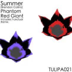 Phantom / Red Giant - Single by Summer album reviews, ratings, credits
