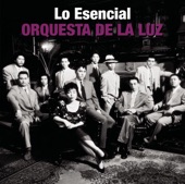 Lo Esencial: Orquesta de La Luz, 2007