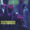 Subterrene