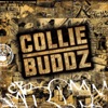 Collie Buddz - What a Feeling