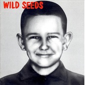 Wild Seeds - Love Will Make You Weak