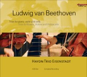 Eisenstadt Haydn Trio - Piano Trio in E-Flat Major, Op. 1, No. 1: IV. Finale: Presto
