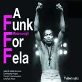 Minimoogli - A Funk for Fela (Afro Jam)