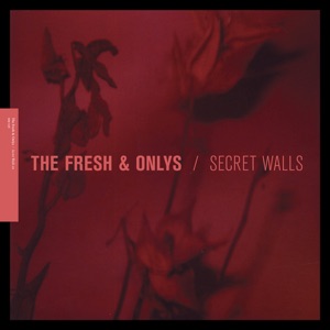 Secret Walls - EP