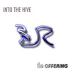 Into the Hive