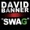 David Banner - Swag