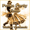 Polka Party Time