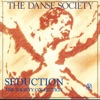 Seduction (The Society Collection)