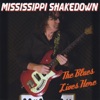 Mississippi Shakedown - I Wish Every Night Was Saturday Night