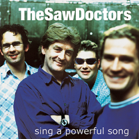 The Saw Doctors - N17 artwork