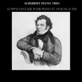Schubert: Piano Trio, D. 929 & Fantaisie pour piano et violon, D. 934 artwork