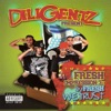 Diligentz - Hide N Seek