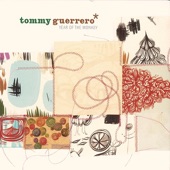 Tommy Guerrero - Spider And The Monkey