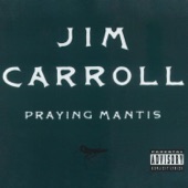 Jim Carroll - Terrorist Trousers