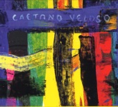 Caetano Veloso - Onde O Rio E Mais Baiano