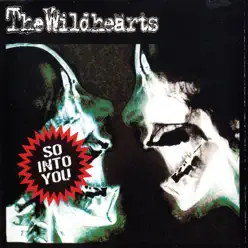 So Into You - The Wildhearts So Into You - The Wildhearts