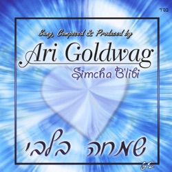 Ari Goldwag - Time