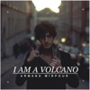Armand Mirpour - I Am a Volcano (Random Cute Animals Remix)