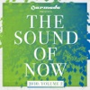 The Sound of Now 2010, Vol. 2