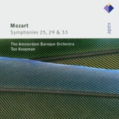 Amsterdam Baroque Orchestra, Monica Huggett, Ton Koopman & Johann Sebastian Bach - Symphony No. 25 in G Minor, K. 183: II. Andante