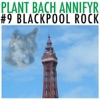 #9 Blackpool Rock - Single (Sengl) - Single