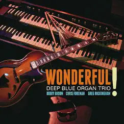 Wonderful! by Deep Blue Organ Trio album reviews, ratings, credits