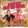 Lass die Sau im Stall - Single