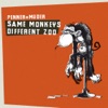Same Monkeys Different Zoo
