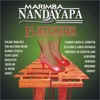 Marimba Nandayapa - 15 Danzones