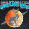 Run Rabbit Run