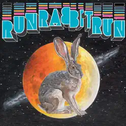 Run Rabbit Run - Sufjan Stevens