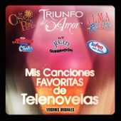 Mis Canciónes Favoritas de Telenovelas artwork