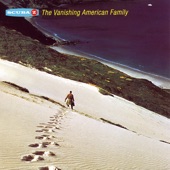 The Vanishing American Family artwork