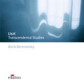Liszt: 12 Etudes d'exécution transcendante [Transcendental Studies] artwork