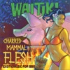 Charred Mammal Flesh: Exotic Music for BBQ, 2005