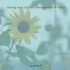 Relaxing Music & The Calming Sounds of Nature, Vol. 4 album lyrics, reviews, download