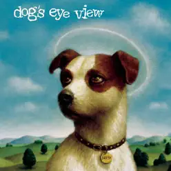 Daisy - Dog's Eye View