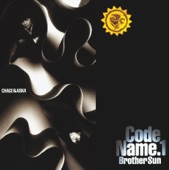code name.1 brother sun (Remaster) artwork