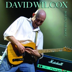 David Wilcox - Step It Up and Go