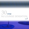 30 Songs Nu Lounge Sensation, Vol. 1