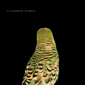 Andrew Bird - Heretics