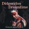 The Dreamtime artwork