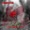 Rumblefish - La Boombia