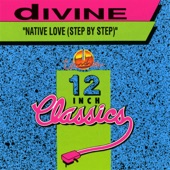 Native Love (Step By Step) artwork